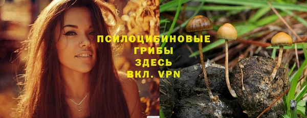 мдпв Лиски