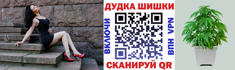 Купить где  Новая Ляля  Конопля OG Kush 